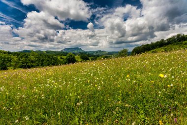 Sonbahar dağ manzarası. Sarı ve kırmızıya boyanmış sonbahar ağaçları. Yeşil iğneler ve mavi gökyüzü. Rumen Karpatlar 'daki renkli sonbahar manzarası. Panoramik görünüm.