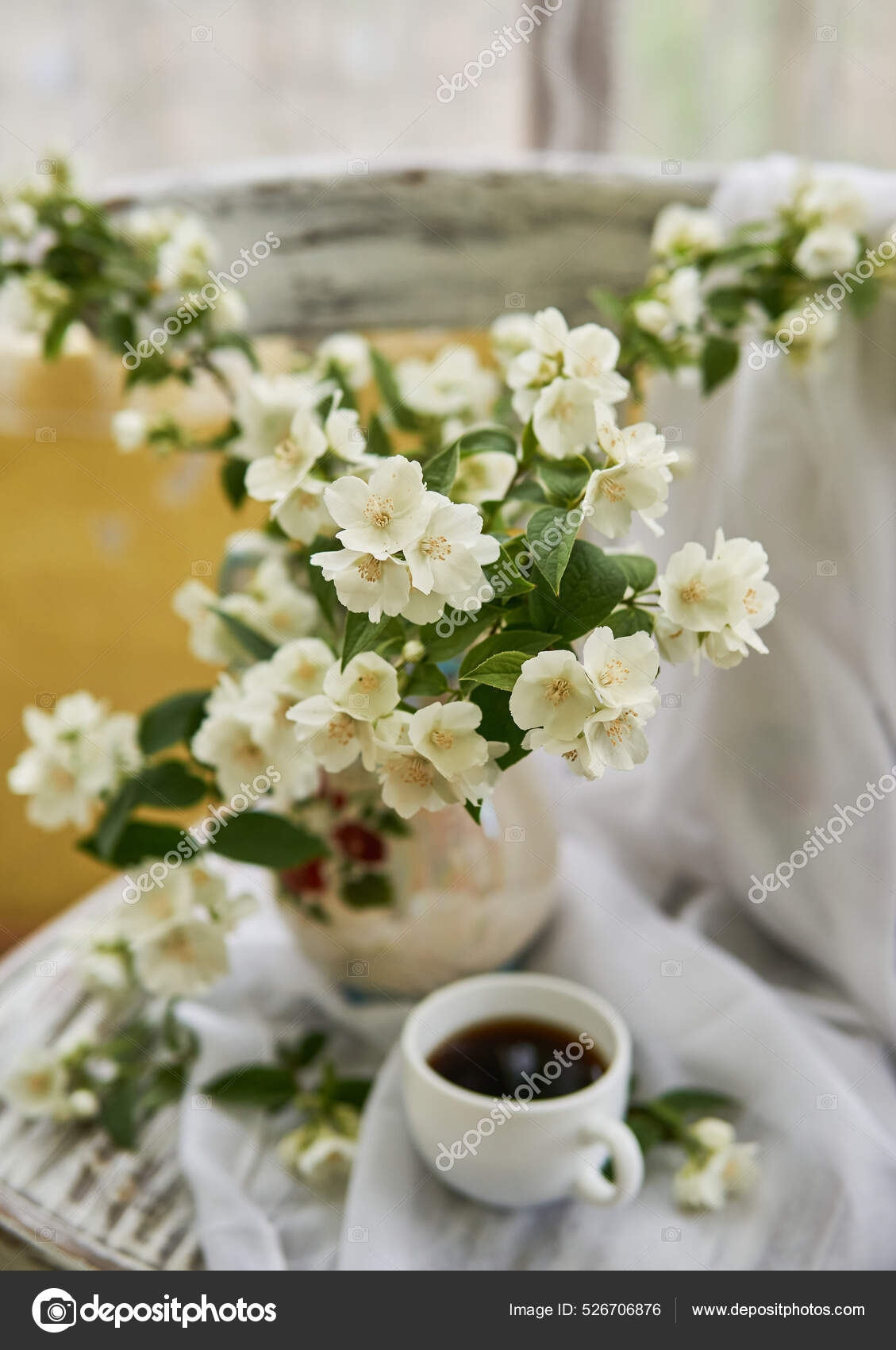 Фото жасмин