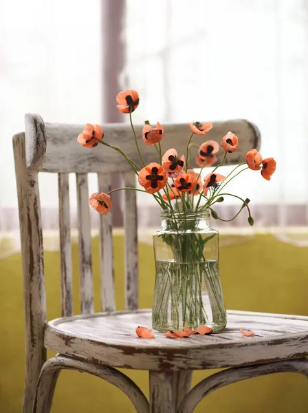 Little Red Poppies Bouquet Arranged Classical Style Stillife Popies Glasses — Stock Photo, Image
