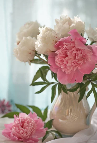 Stilleven Met Witte Roze Pioenrozen Een Witte Vaas — Stockfoto