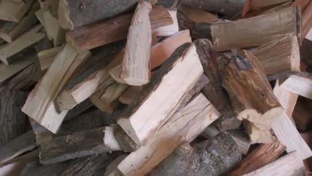 Kleines Braunes Brennholz Mit Grauem Rindenflor Liegt Herum — Stockvideo