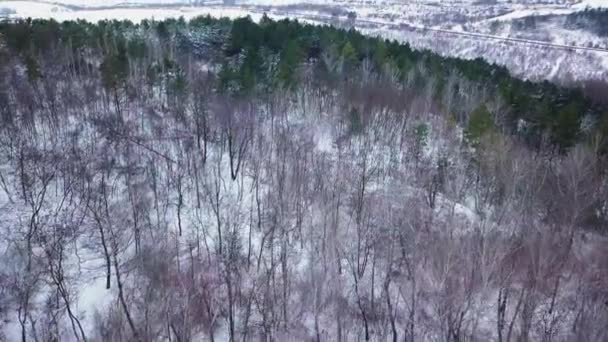 Drohnenaufnahme eines schneebedeckten Waldes und eines Winterweges. — Stockvideo