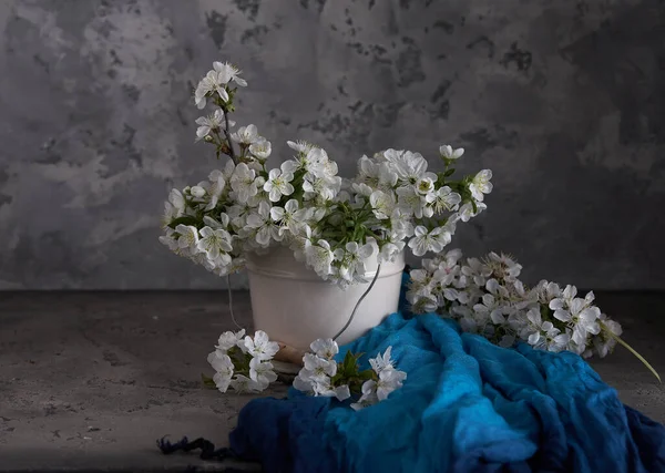 樱桃在灰色背景的白色花瓶中绽放 春天静谧的生活 — 图库照片