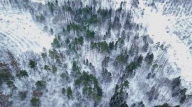 Karla kaplı bir ormanın ve kış patikasının hava aracı görüntüsü.