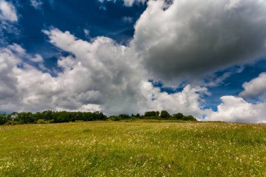 Sonbahar dağ manzarası. Sarı ve kırmızıya boyanmış sonbahar ağaçları. Yeşil iğneler ve mavi gökyüzü. Rumen Karpatlar 'daki renkli sonbahar manzarası. Panoramik görünüm.