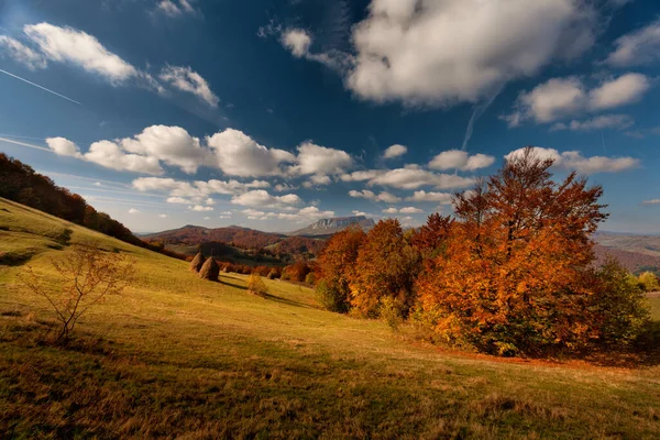 Höstens Bergslandskap Gulnade Och Rödaktiga Höstträd Kombination Med Gröna Nålar — Stockfoto