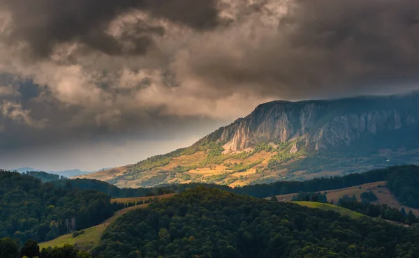 Paysage Montagneux Automne Arbres Automne Jaunis Rougis Combinés Avec Des — Photo