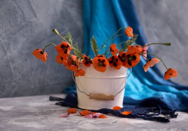 Beyaz vazoda kırmızı haşhaş buketi. Vahşi gelinciklerle hayat.