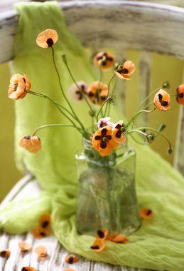 Klasik tarzda hazırlanmış küçük kırmızı gelincik buketi. Popies 'in klasik sandalyedeki vazoda durgun hayatı.