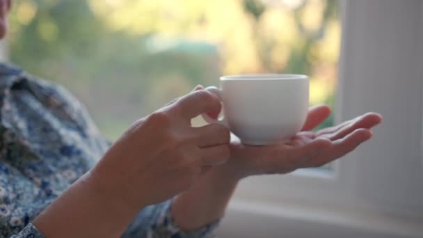 Caneca Café Mãos Femininas Mulher Segurando Café Quente Fica Janela — Vídeo de Stock