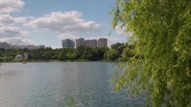 Gölet çimenler ve ağaçlar karşı şehir binaların arasında yeşil su ile.