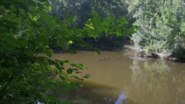 Gölet çimenler ve ağaçlar karşı şehir binaların arasında yeşil su ile.