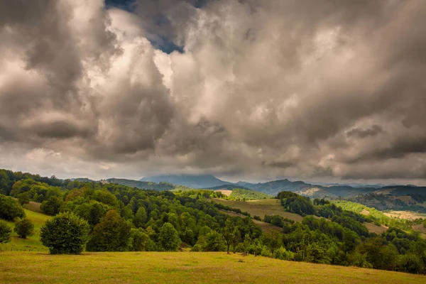 Sonbahar dağ manzarası. Sarı ve kırmızıya boyanmış sonbahar ağaçları. Yeşil iğneler ve mavi gökyüzü. Rumen Karpatlar 'daki renkli sonbahar manzarası. Panoramik görünüm.
