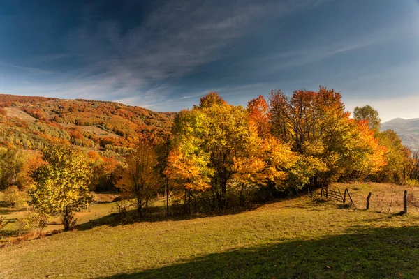 Jesienny Krajobraz Górski Żółte Zaczerwienione Jesienne Drzewa Połączone Zielonymi Igłami — Zdjęcie stockowe