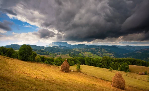 Autumn Mountain Landscape Yellowed Reddened Autumn Trees Combined Green Needles — Stock Photo, Image