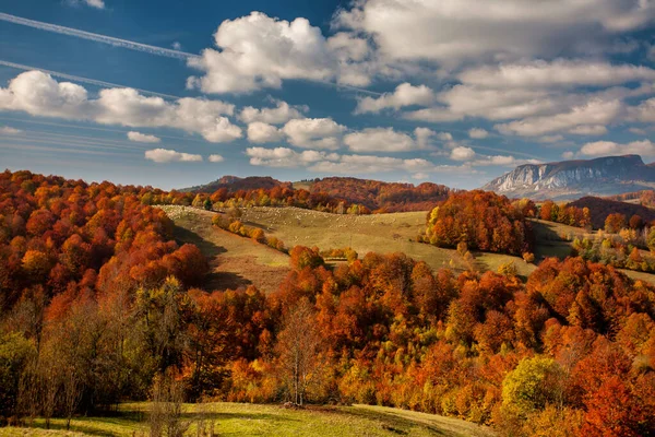 Paesaggio Montano Autunnale Alberi Autunnali Ingialliti Arrossati Combinati Con Aghi — Foto Stock