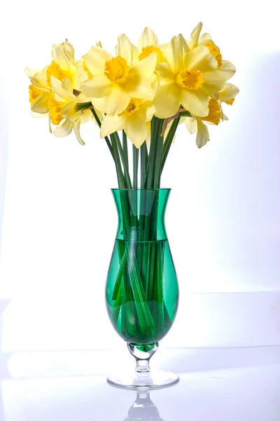 Красивый букет свежих желтых цветов нарциссов в полном расцвете в вазе на белом фоне — стоковое фото