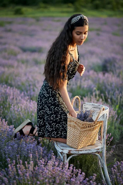 Γυναίκα με καλάθι σε χωράφι με λεβάντα — Φωτογραφία Αρχείου