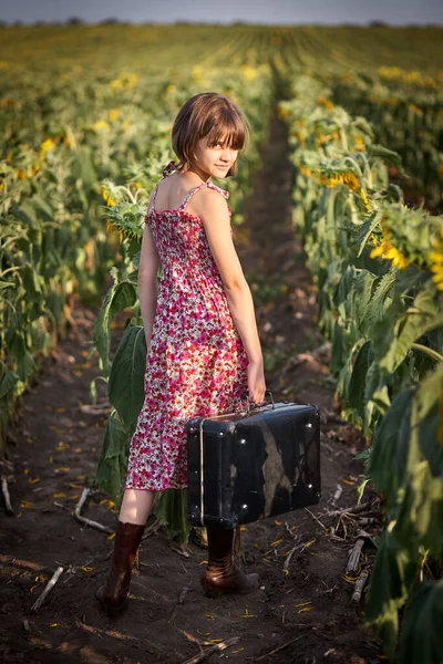 Söt flicka med gammal resväska på ett solrosfält. — Stockfoto