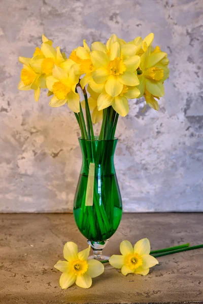 Flores Primavera Narcisos Amarelos Vaso Fundo Cinza — Fotografia de Stock