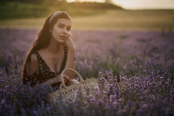 Kvinna Med Korg Ett Lavendelfält — Stockfoto
