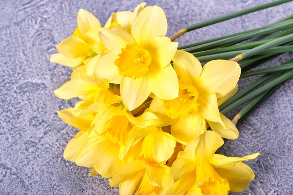 Verse Gele Narcissen Narcissen Bloemen Een Helderblauwe Achtergrond Bovenaanzicht Flat — Stockfoto