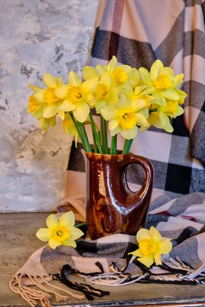 Весняні Квіти Жовті Нарциси Вазі Сірому Фоні — стокове фото