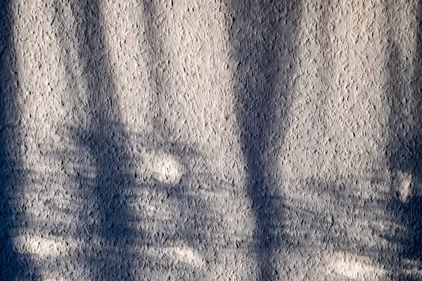 Üst üste koymak için beyaz arkaplan üzerine güneş ışığı yansımasının modaya uygun görüntü efekti