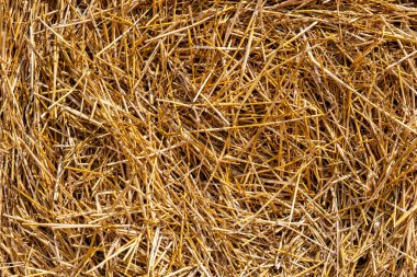 büyük bir kefalet saman bir yakın çekim çekim