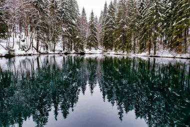 Lake in winter forest. Pine forest is on background. Germany.