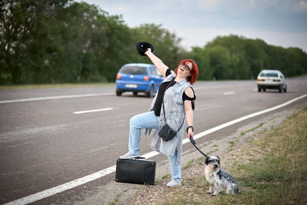 Womenon Road Dog Stoped Auto — Fotografie, imagine de stoc
