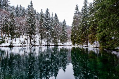 Lake in winter forest. Pine forest is on background. Germany.