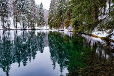 Lake in winter forest. Pine forest is on background. Germany.