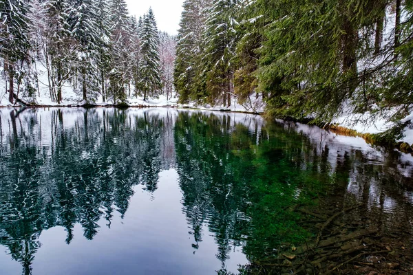 Lake in winter forest. Pine forest is on background. Germany.
