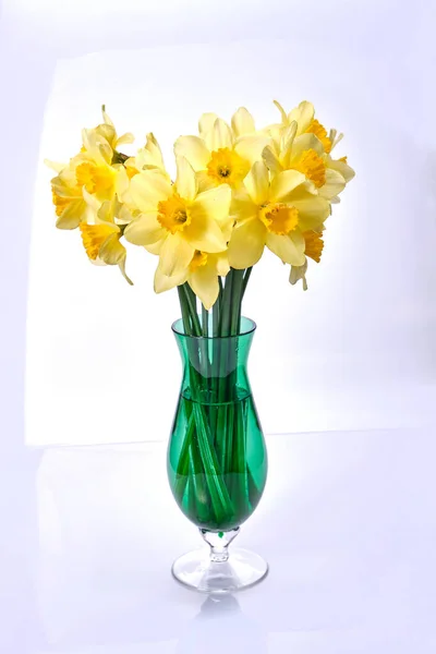 Красивый Букет Свежих Желтых Цветов Нарциссов Полном Расцвете Вазе Белом — стоковое фото
