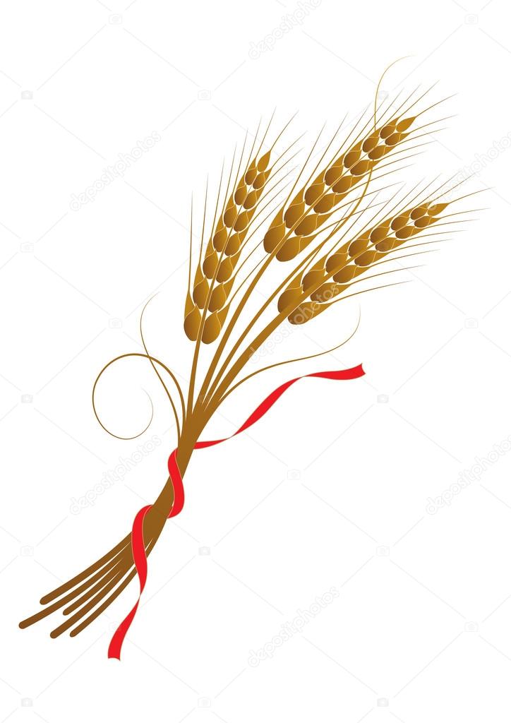 sheaf of wheat tied with a ribbon