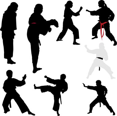 Karate savaşçıları