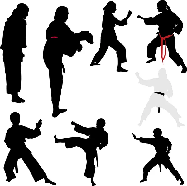 Karate savaşçıları