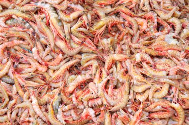 Piyasada satılık deniz karidesi stoku