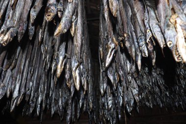 Lezzetli kurutulmuş ve tuzlanmış balık stokları, çiftlikte asılıp satılıyor.