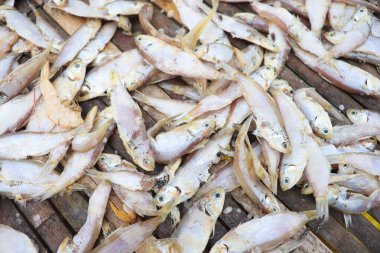 Lezzetli kurutulmuş ve tuzlanmış balık stokları, çiftlikte asılıp satılıyor.