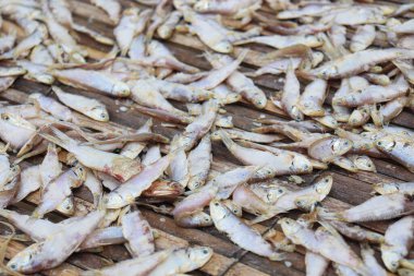 Lezzetli kurutulmuş ve tuzlanmış balık stokları, çiftlikte asılıp satılıyor.