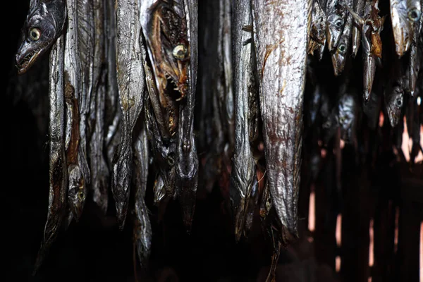 Saboroso Caldo Peixe Seco Salgado Com Suspensão Fazenda Para Colheita — Fotografia de Stock