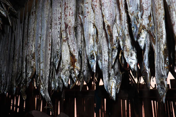Вкусные Сушеные Соленые Рыбные Запасы Повешенной Ферме Сбора Продажи — стоковое фото
