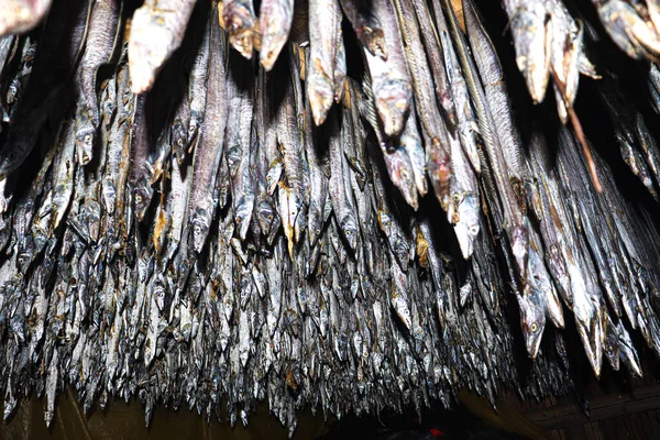 Tasty Dried Salted Fish Stock Hanging Farm Harvest Sell — Foto de Stock