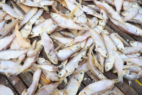 Lezzetli kurutulmuş ve tuzlanmış balık stokları, çiftlikte asılıp satılıyor.