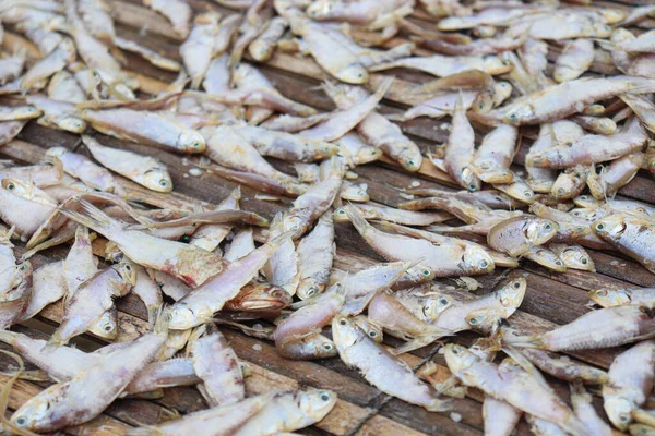 Lezzetli kurutulmuş ve tuzlanmış balık stokları, çiftlikte asılıp satılıyor.