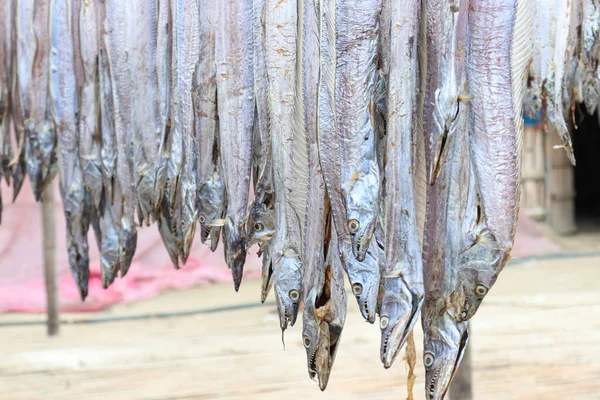 Tasty Dried Salted Fish Stock Hanging Farm Harvest Sell — Foto de Stock