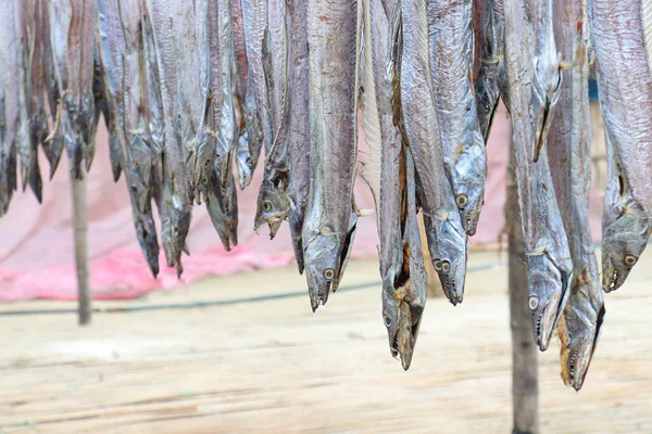Tasty Dried Salted Fish Stock Hanging Farm Harvest Sell — Stok Foto