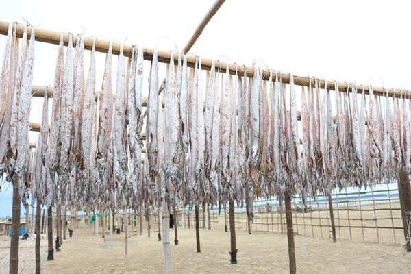 Tasty Dried Salted Fish Stock Hanging Farm Harvest Sell — Foto de Stock